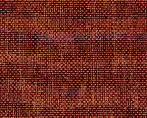 tortuga-308.jpg